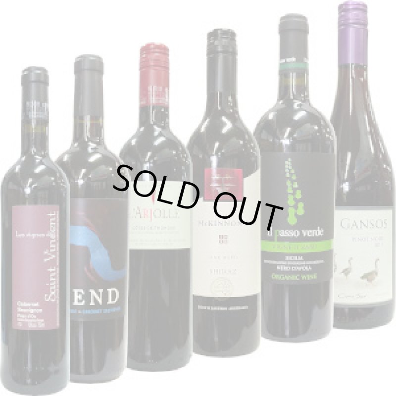 画像1: ２０２２年１１月２５日累計　あなたが選んだ、のざきデイリーワイン　年間売上ベスト６！ 飲み比べセット (1)
