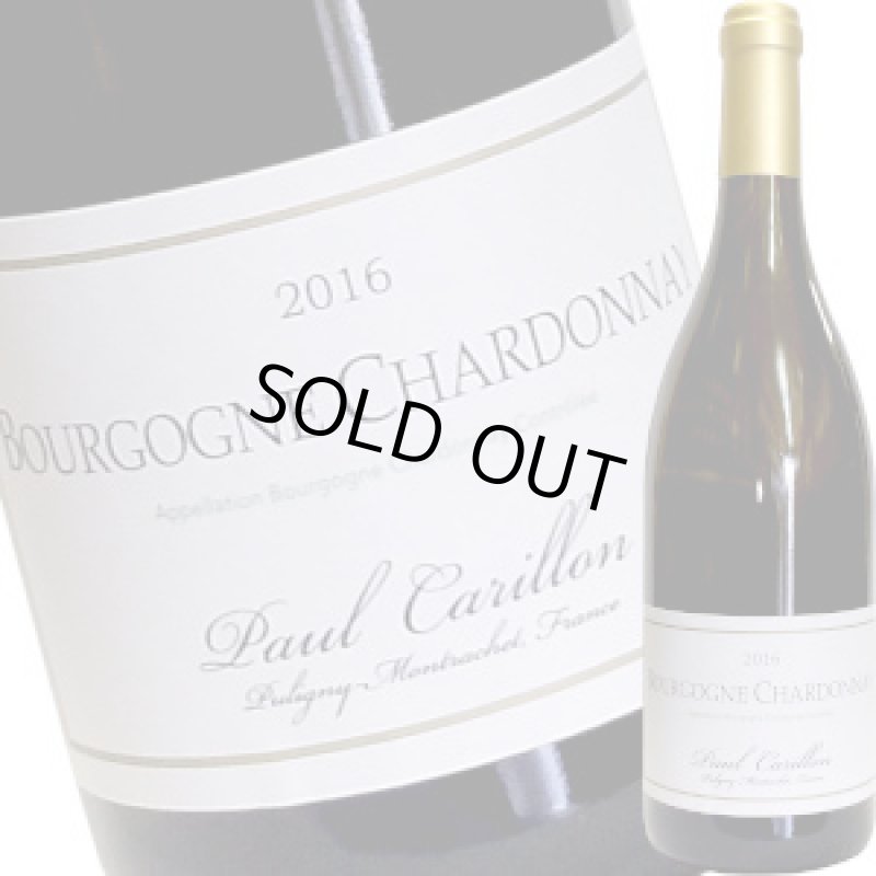 画像1: 2016 ブルゴーニュ・ブラン  750ml (1)