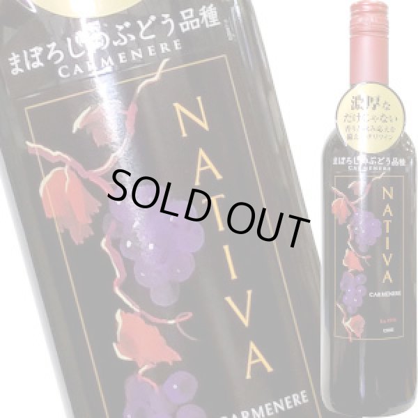 画像1: 2021 ナティバ カルメネール  750ml (1)