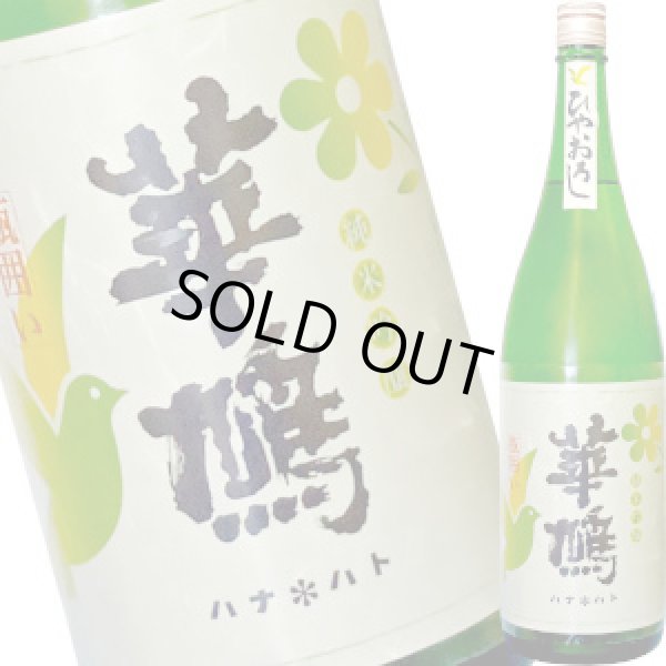 画像1: 華鳩　純米吟醸 こいおまち 瓶囲い ひやおろし　1.8L (1)
