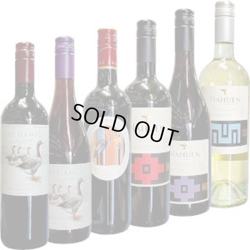 画像1: 2024年11月　つきない、オススメ旨安ワイン チリ・フランス６本！ 飲み比べセット (1)