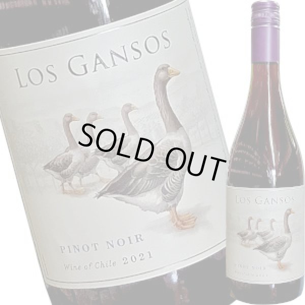 2021 ロス・ガンソス／ピノ・ノワール （業務店専用） 750ml - 酒のざき