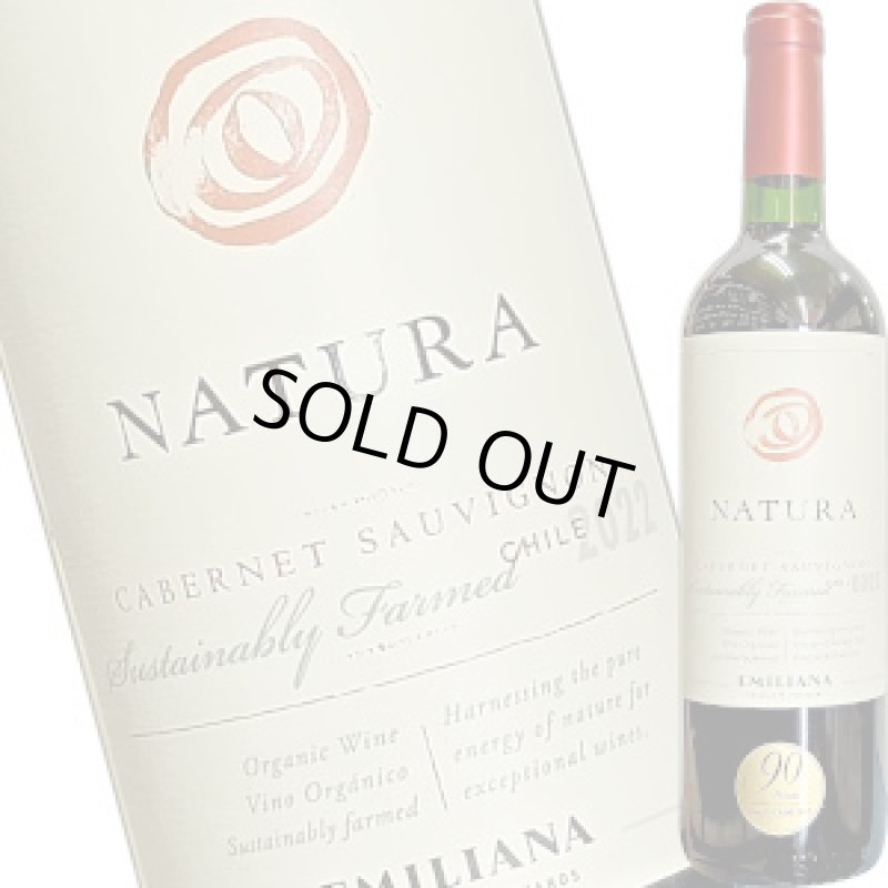 画像1: 2022 ヴァレ・セントラル／ナチューラ・オーガニック・カベルネ  750ml (1)