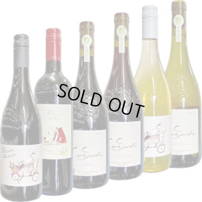 画像1: 2025年5月　お手頃価格で楽しめる南フランス産ワイン！ 飲み比べセット (1)