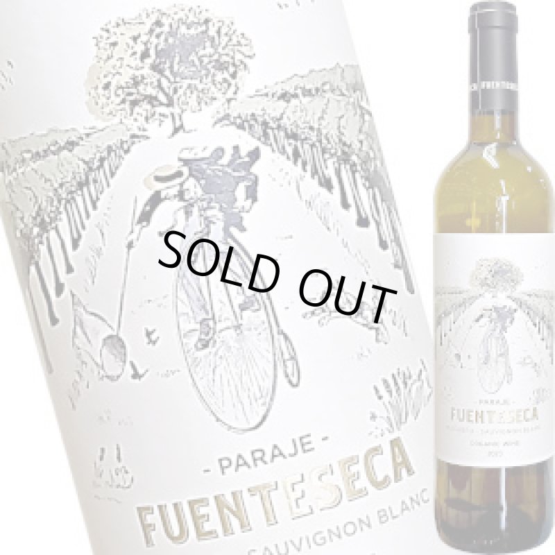 画像1: 2023 シェラ・ノルテ　フェンテセカ ブランコ  750ml (1)