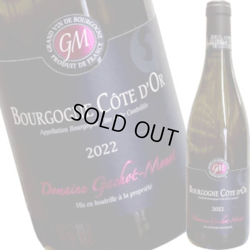 画像1: ブルゴーニュ・コート・ドール・ブラン 2022  750ml (1)