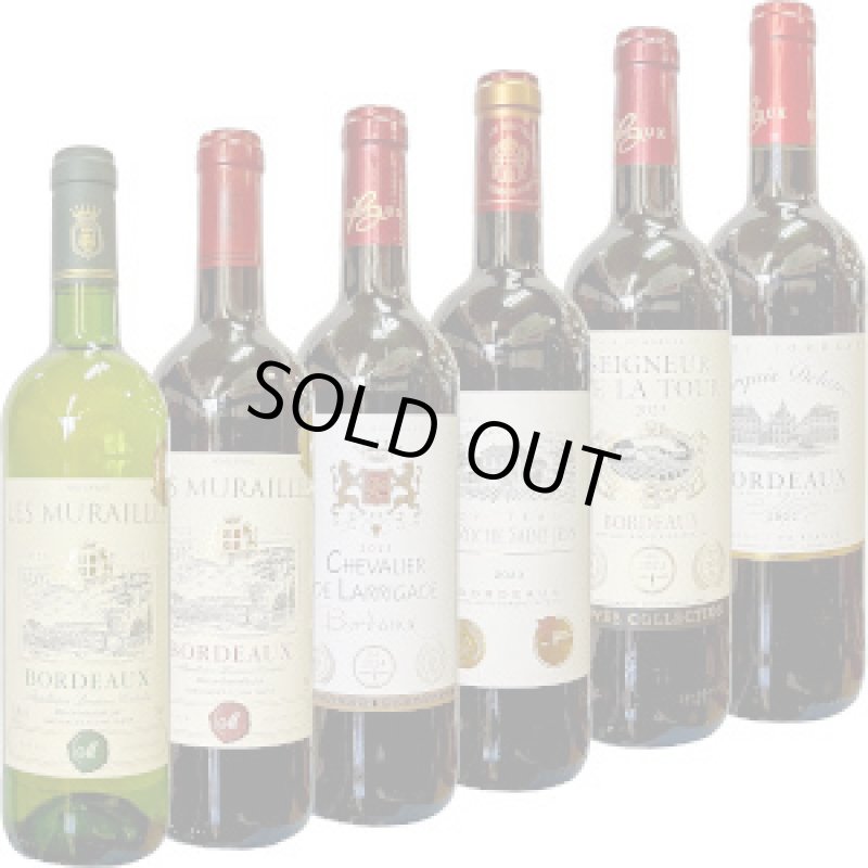 画像1: 2025年９月、お手頃価格で楽しめる、フランス　家計応援ワイン６本！ 飲み比べセット (1)