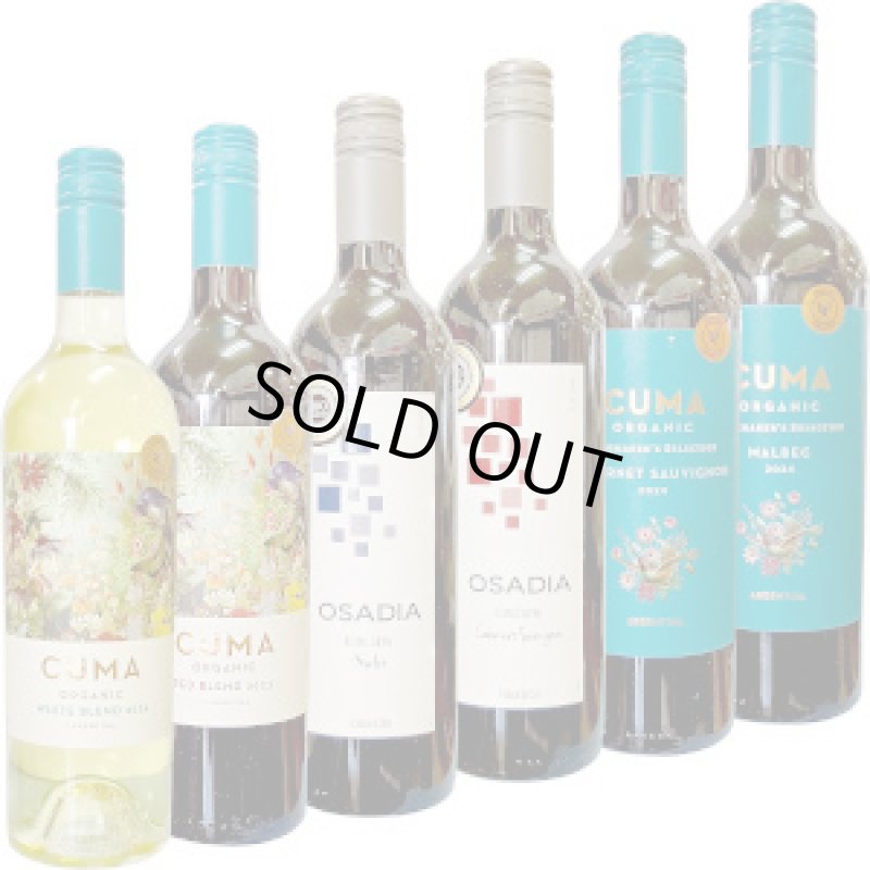 画像1: 2025年秋深し、南米の癒し系　家計応援ワイン６本！ 飲み比べセット (1)