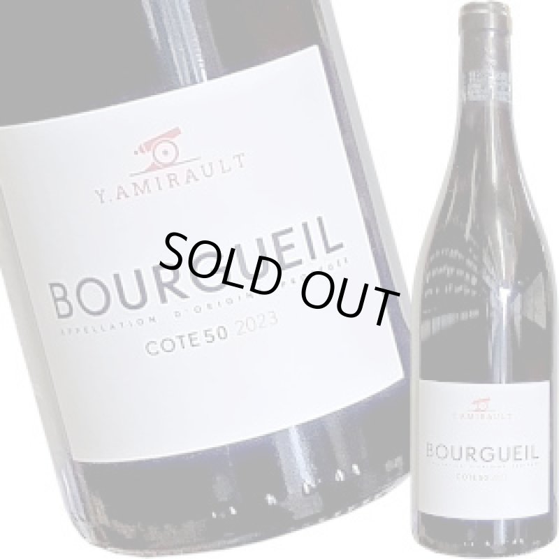 画像1: 2023 イャニック・アミロ　コート・サンカント  750ml (1)