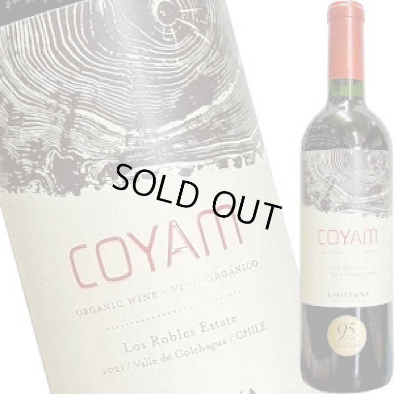 画像1: 2021 コヤム・ヴァレ・デ・コルチャグア 750ml (1)