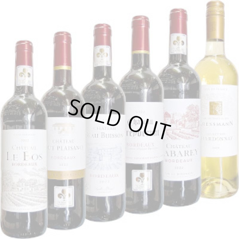 画像1: 2025年11月　家計応援ワイン６本！ 飲み比べセット (1)