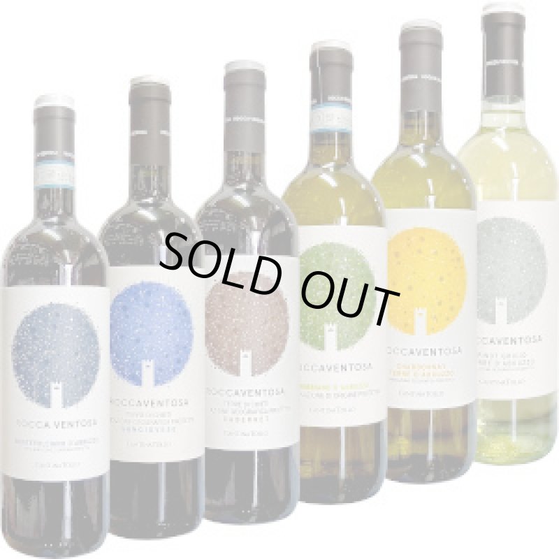 画像1: 2026年1月　今年も世界のワイン生産国から選抜！お手頃デイリーワイン６本！ 飲み比べセット (1)