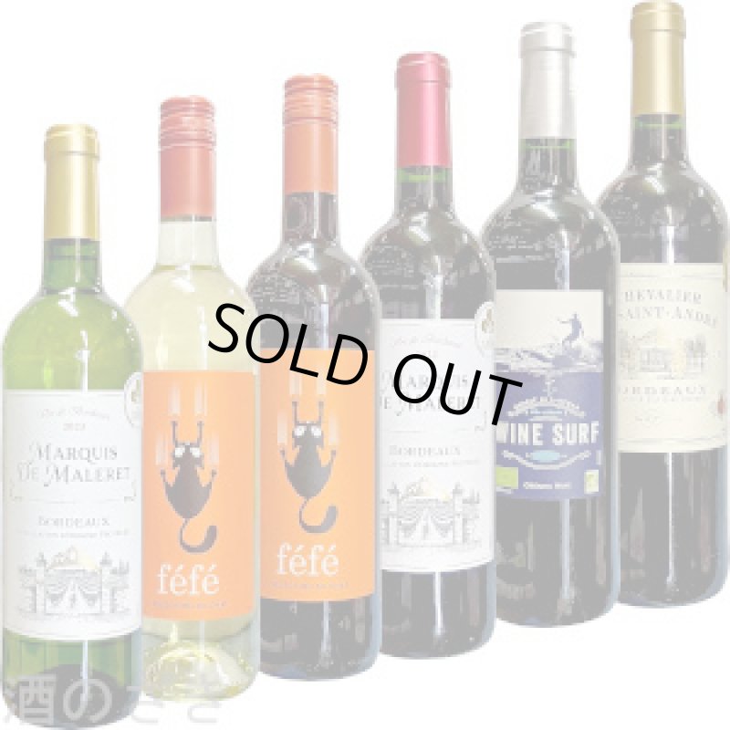 画像1: 2026年3月　価格高騰中、フランスにもまだあります　お手頃デイリーワイン６本！ 飲み比べセット (1)