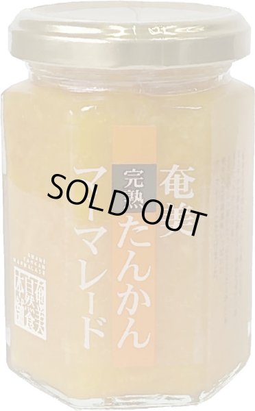 画像1: 奄美大島完熟 たんかんマーマレード　瓶入り　150g (1)