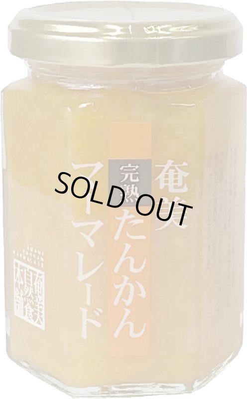 画像1: 奄美大島完熟 たんかんマーマレード　瓶入り　150g (1)