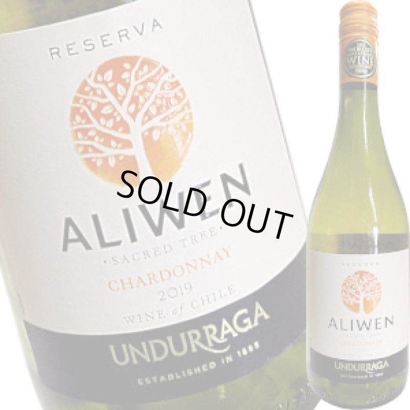 画像1: 2019 ウンドラーガ アリウエレ レゼルバ 750ml (1)